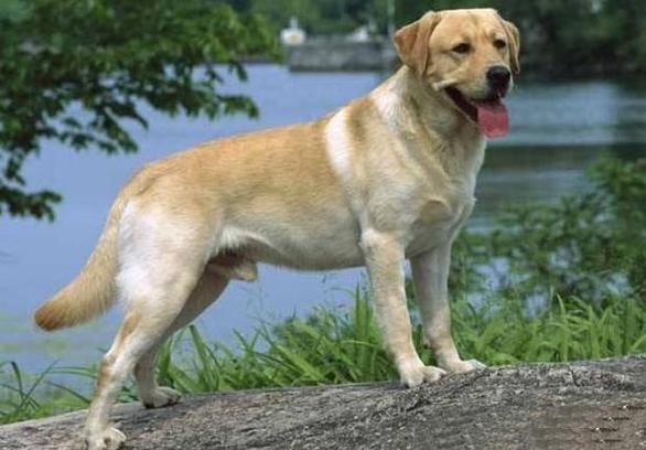 ǩŹϺʱʺϲ(ǩŹ_ʻ_ΪҪ)