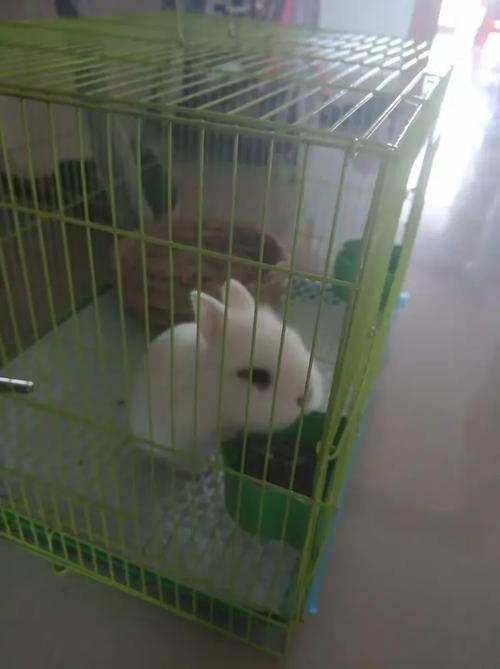 ˮƿкͽţŮ,ˮƿкͽţŮ