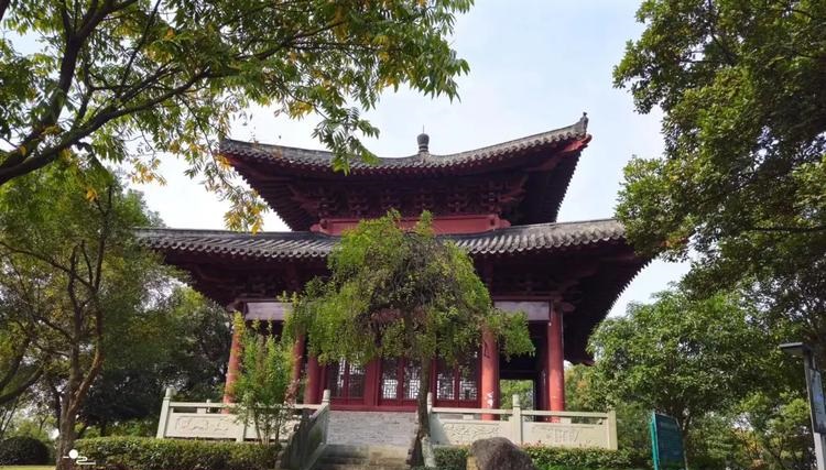 93年属鸡女2025年全年运势如何会不会离婚 93年属鸡女2025年全年运势如何会不会离婚