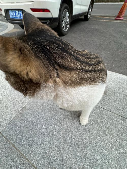 商住房坎宅兑门风水化解 商住房坎宅兑门风水化解