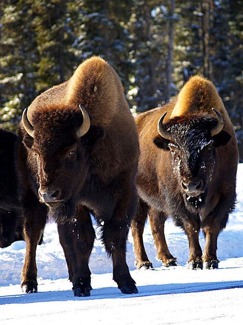 怎么判断阴宅和吉宅 怎么判断阴宅和吉宅