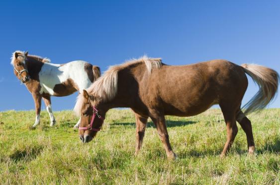 ʱѯϻ2023 ʱѯϻ20259