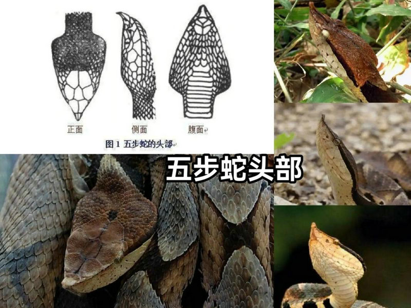 ͿսͬͬôӰżͥϵ(ͿսͬͬôӰżͥϵ)