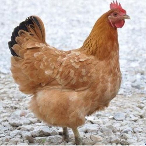 ǩ볯ٵʱ滮ǷӰƽ(ǩ볯ǷӰ콡Ƶİ)