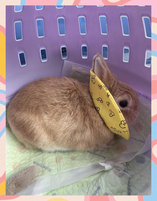 ��ˮסլ�������