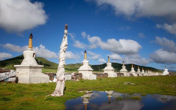 谢依霖是山东的吗1982年阴历2月11日是什么星座 谢依霖是山东的吗1982年阴历2月11日是什么星座