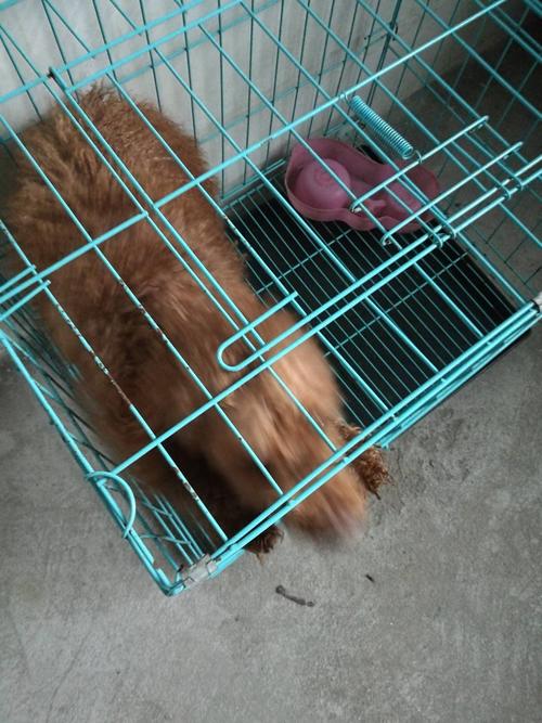 ����ʮ�������ڱ��������