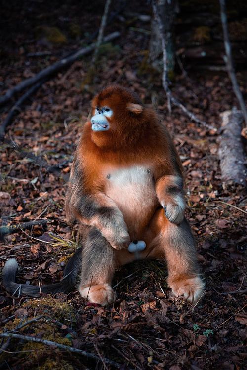 �����˽������� 2018�������˵�ȫ������