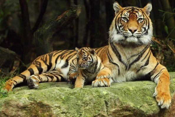 �����������Į������ʮ�»�̥��ȴ��Ҳ����