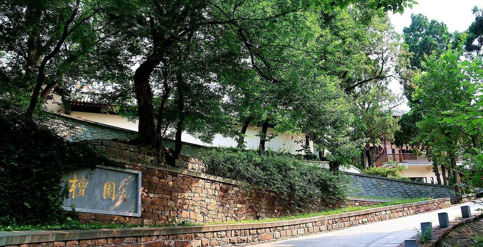 ͬͬյķ໥Ͷʧ(ͬͬշ໥ͻ᲻Ӱ鷢չ)