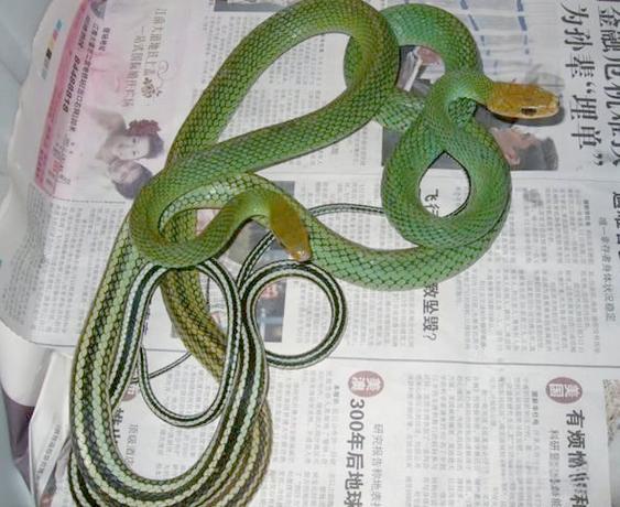 ũ��һ��С������ˮ