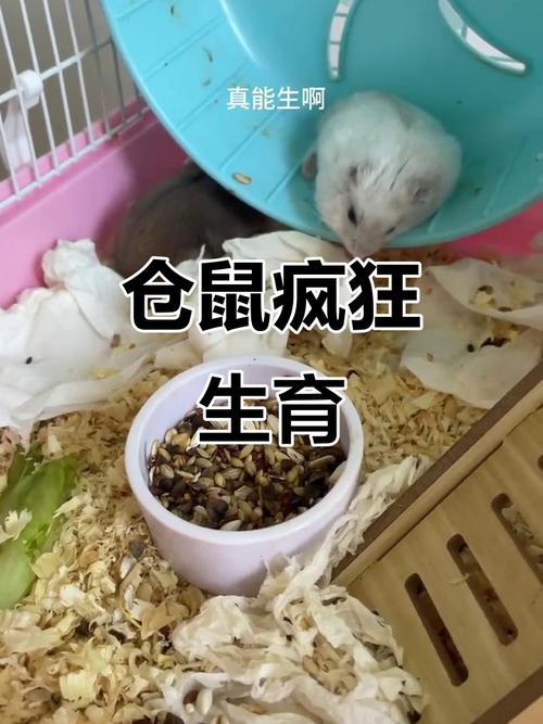 摩羯座5月运势苏珊米勒 米勒2025 年摩羯座运势 摩羯座5月运势苏珊米勒 米勒2025 年摩羯座运势