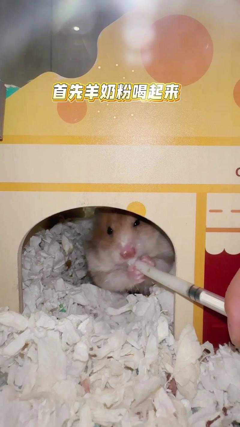 ����ף���2017�����ף������