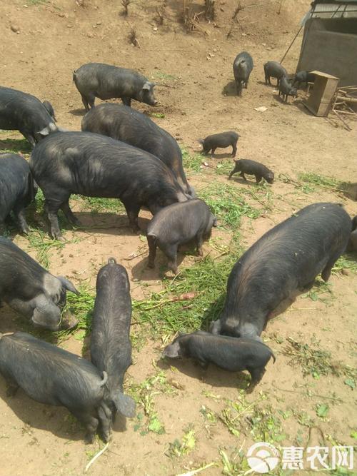 住新房前风水禁忌是什么入宅有什么讲究和忌讳 住新房前风水禁忌是什么入宅有什么讲究和忌讳