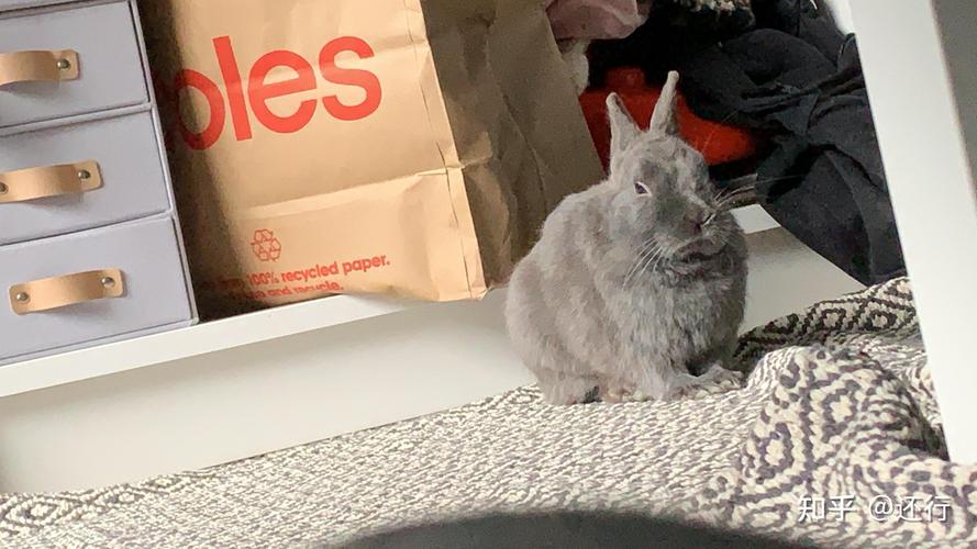 36种命格查询表36种命格查询表格 36种命格查询表36种命格查询表格