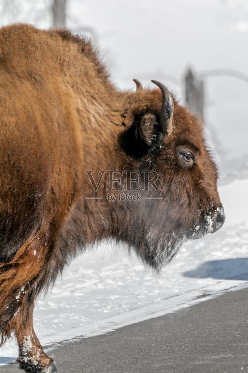 8����������ϲ����