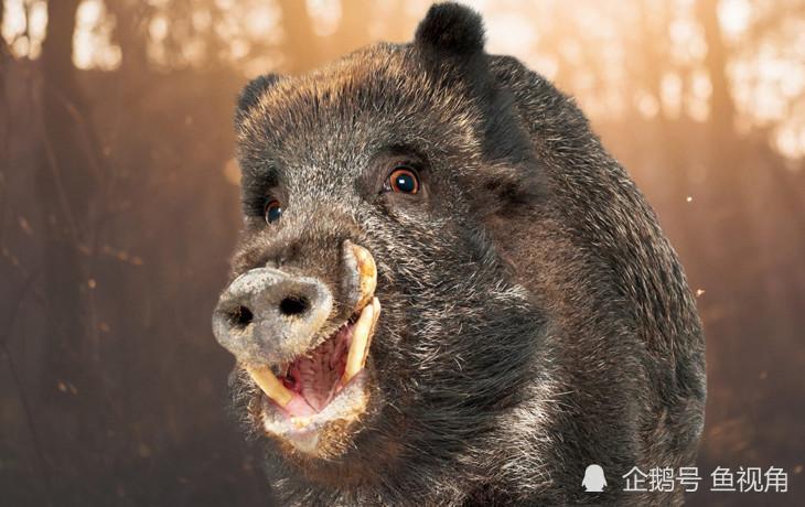 2024ѽ鼪ղѯ 2024ò