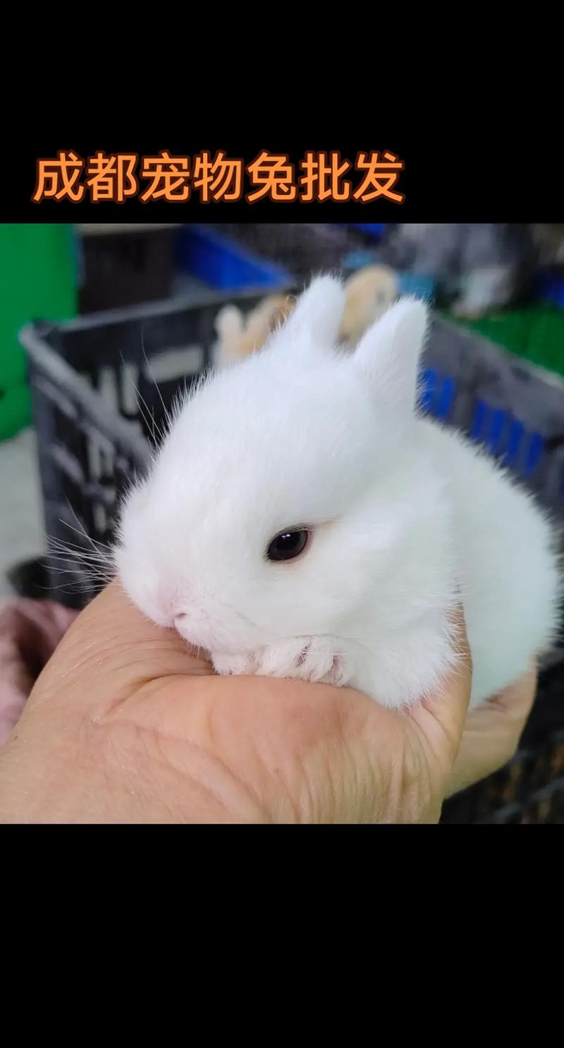 十个极凶的住宅环境风水 十个极凶的住宅环境风水