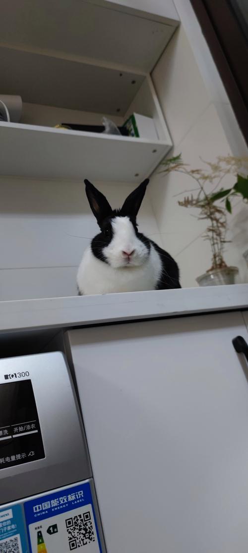 Ф202312 (Ф2024ÿƼ˳)