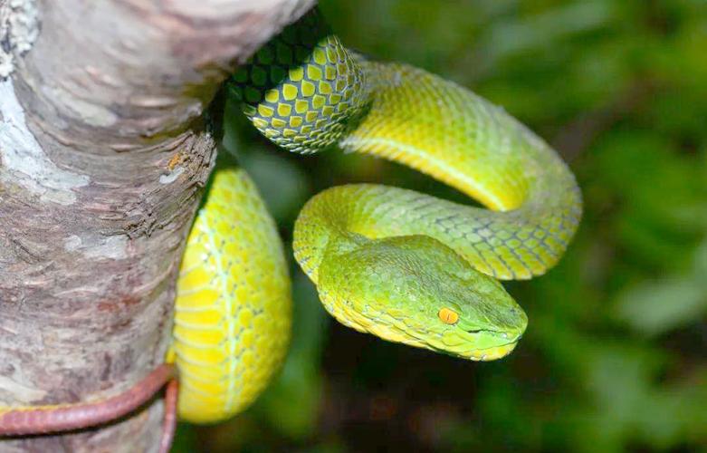 ����������һ�� �������������Щ