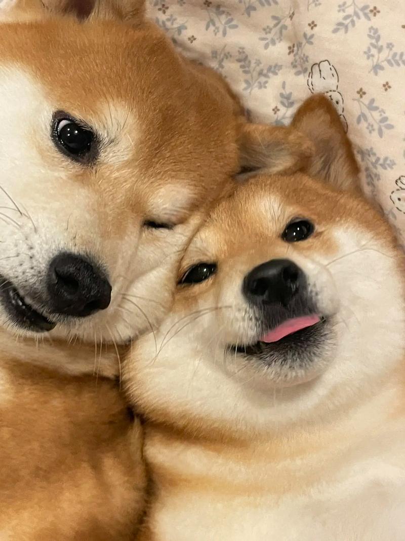 ��լ�����кܶ�ɽ�����3280