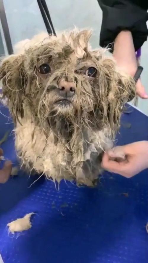 最好的我们演员表谭松韵 最好的我们演员表谭松韵