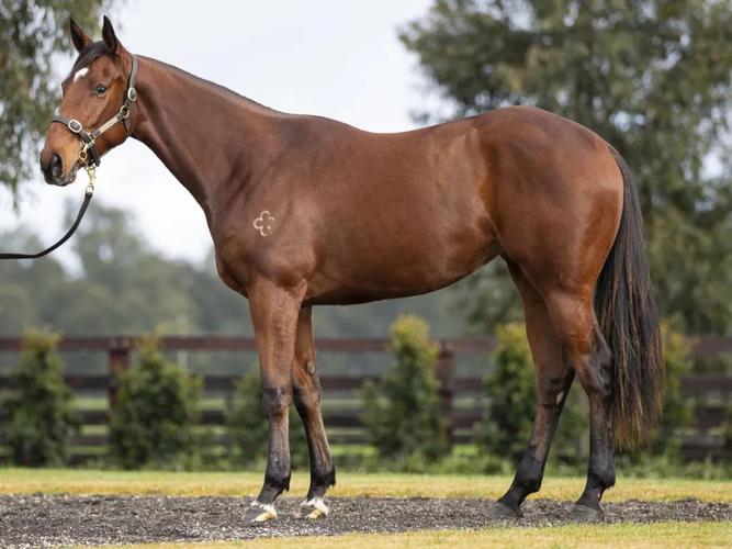 6月属猴的运势 1992年6月27日属猴今年运势 6月属猴的运势 1992年6月27日属猴今年运势