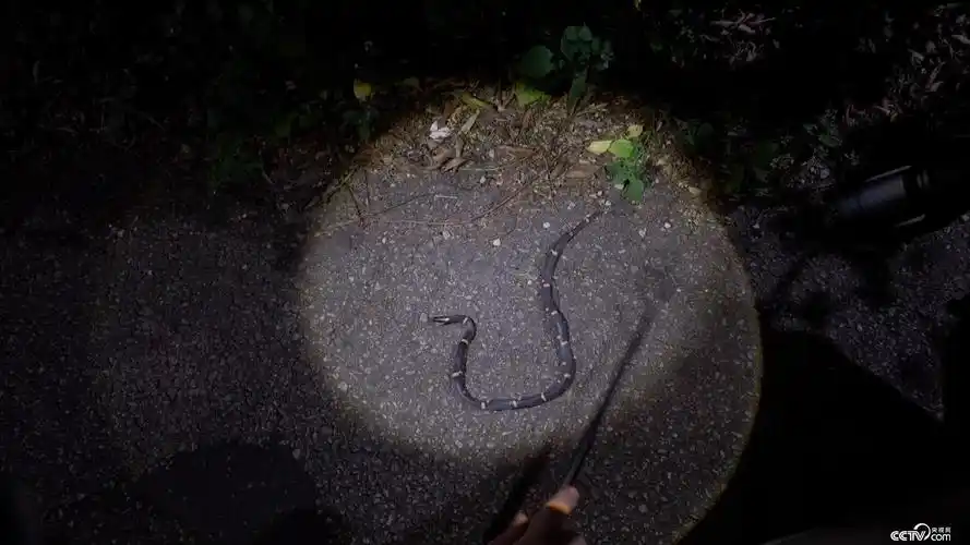 有意外惊喜的面相特征 有意外惊喜的面相特征