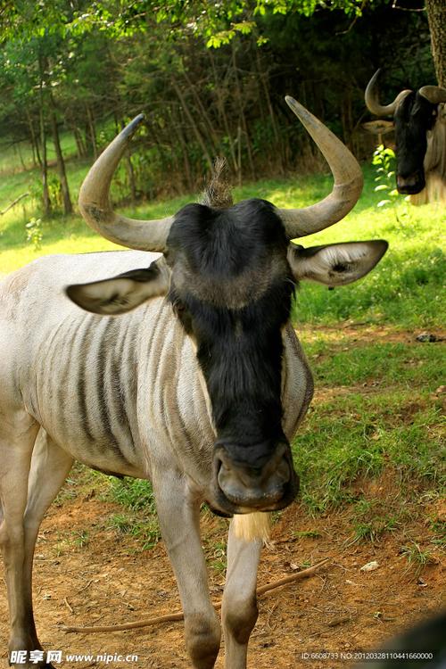 演员杜江婚姻杜江,霍思燕结婚九年,恩爱如 演员杜江婚姻杜江,霍思燕结婚九年,恩爱如