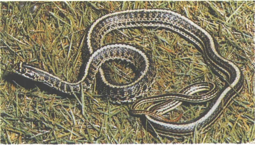 12ФƲѯФĲ״Ӱ(12ФƲѯǷӰҵĲ)