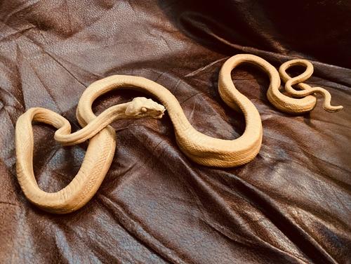 ������2025���������