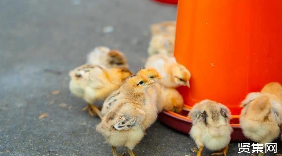 �һ���������[��������һ���]