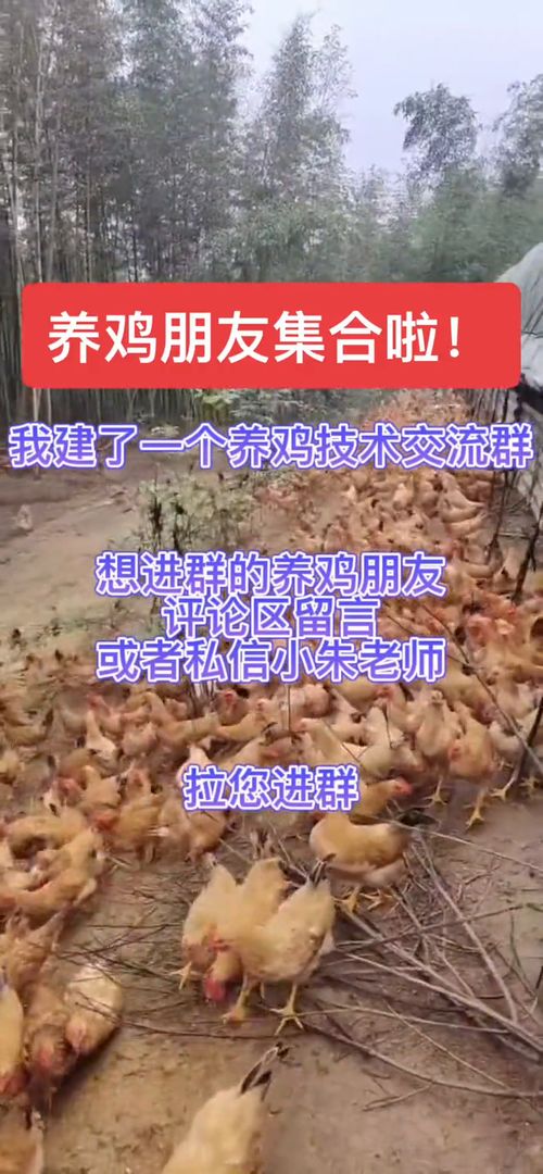 非诚勿扰2012第四期 非诚勿扰2012第四期