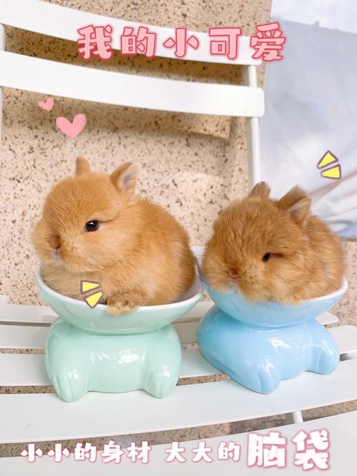 吴秀波王牌画面被全删如鲠在喉、如芒刺背, 吴秀波王牌画面被全删如鲠在喉、如芒刺背,