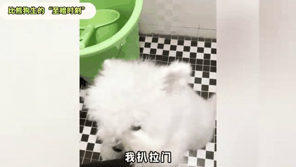 看面相看你的福气啥意思 看面相看你的福气啥意思
