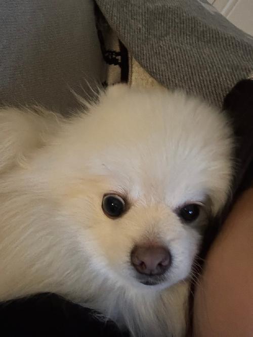 梦见陌生人给钱却没要 梦见自己给钱给死去的亲人 梦见陌生人给钱却没要 梦见自己给钱给死去的亲人