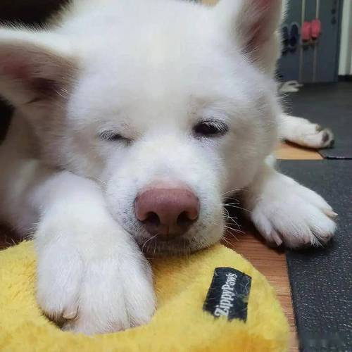 如何造就好的阳台风水 如何造就好的阳台风水