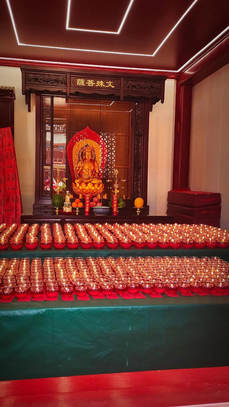 ��ͬ���ʮ����Ф��2025���Ʒ���