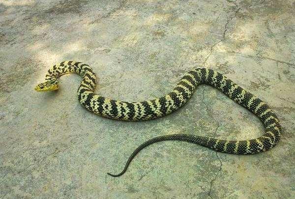 关帝爷灵签求财运是否亨通吉兆(关帝爷灵签中暗藏财运何时到) 关帝爷灵签求财运是否亨通吉兆(关帝爷灵签中暗藏财运何时到)