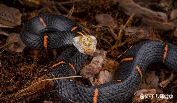 水瓶座男生和什么座女生最配 水瓶座男生和什么座女生最配