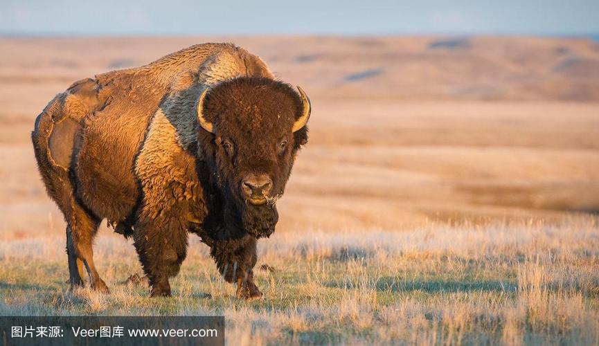 �ִ�����������ָ��������