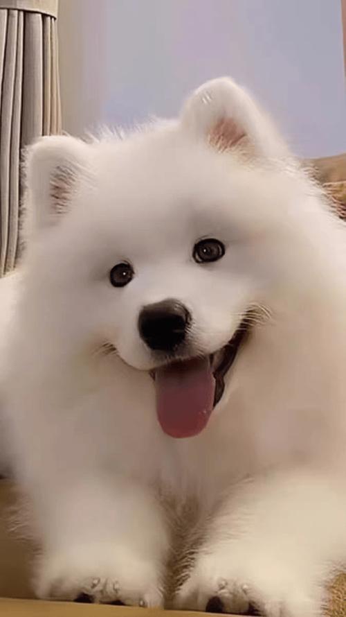 易经风水学-为什么要研究易经风水 易经风水学-为什么要研究易经风水