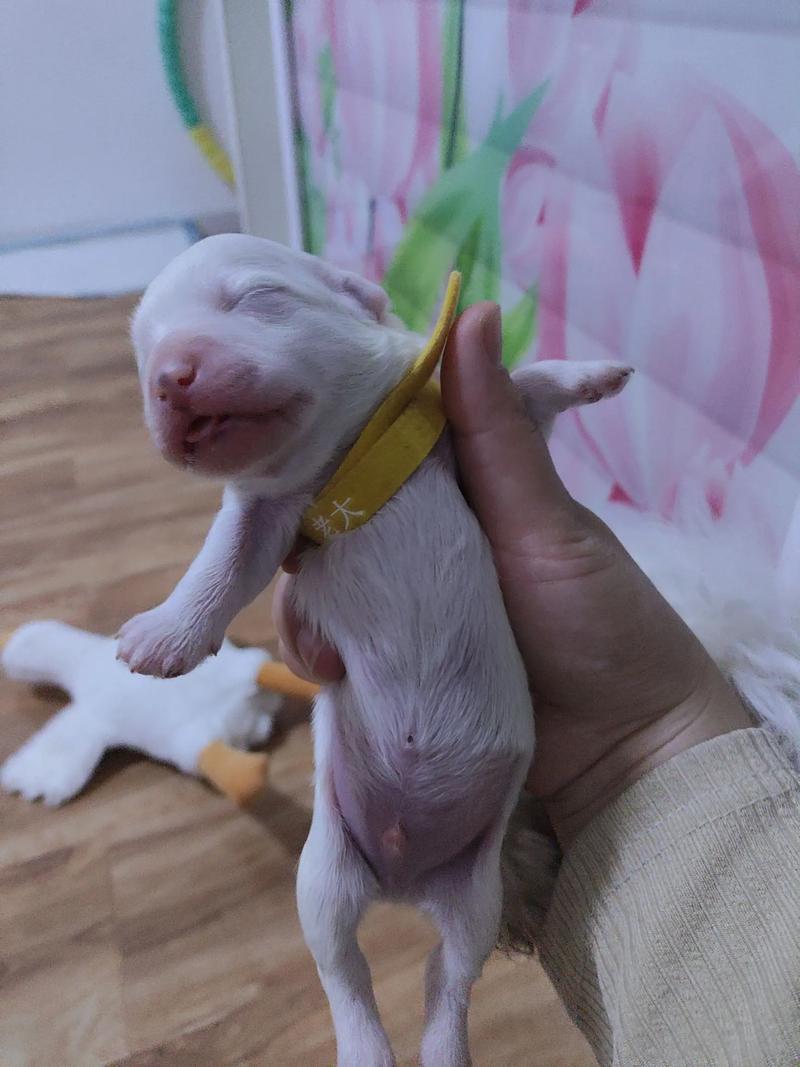 �����˵Ļ������������