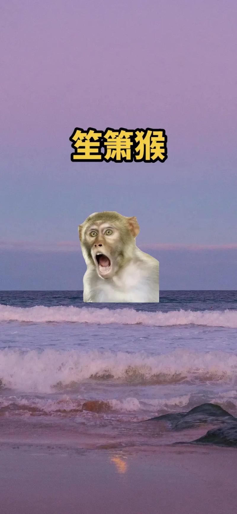 乙亥年阴宅宜立何向 乙亥年阴宅宜立何向