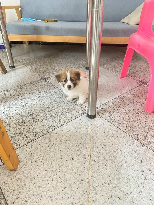 �������֮������û����������ޱȣ���Ů��Т������