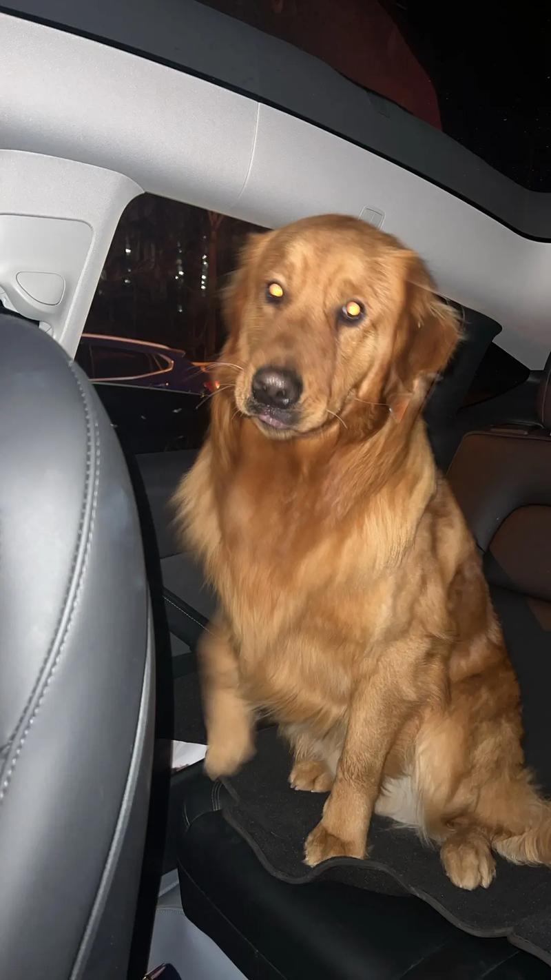 圈内人透露王俊凯私下现状 圈内人透露王俊凯私下现状