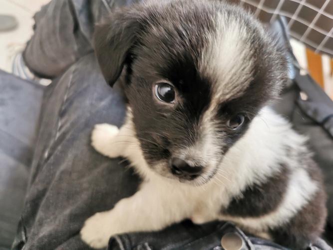 �׼������Ӿ��ʲô