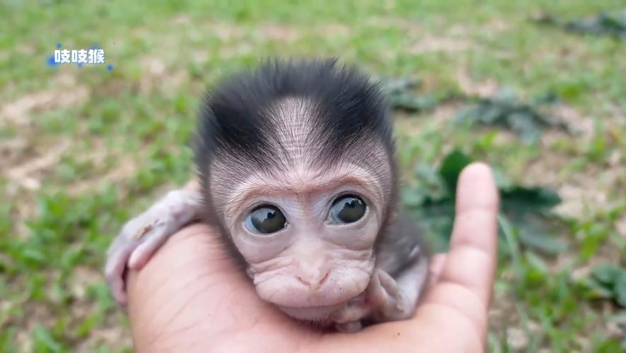 豸װ˾ʱα˵(豸װ˾ΪʲôҪעɳƽ)