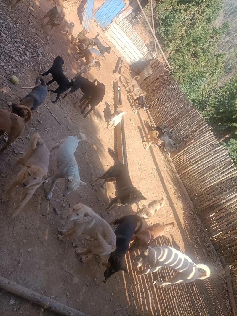 ����������ձ�2025 08�������2025 �꼸��