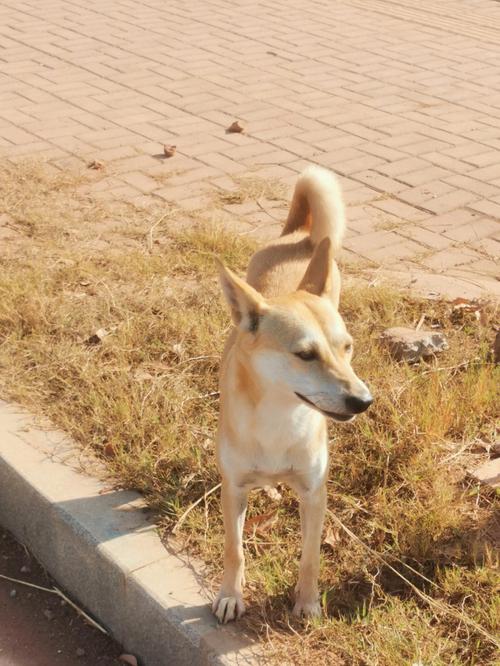 处女座生日是几月份,几号的处女座最厉害 处女座生日是几月份,几号的处女座最厉害